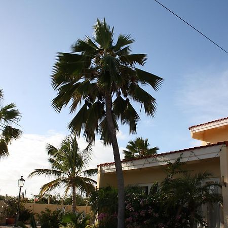 Отель Hidden Garden Aruba Babijn Экстерьер фото