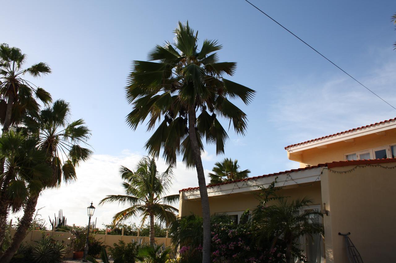 Отель Hidden Garden Aruba Babijn Экстерьер фото