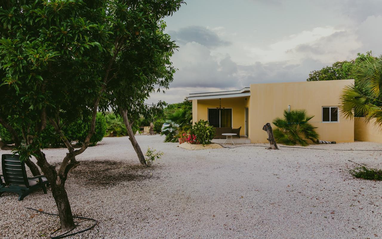 Отель Hidden Garden Aruba Babijn Номер фото