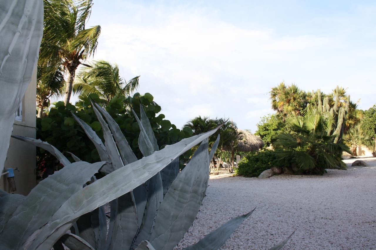 Отель Hidden Garden Aruba Babijn Номер фото